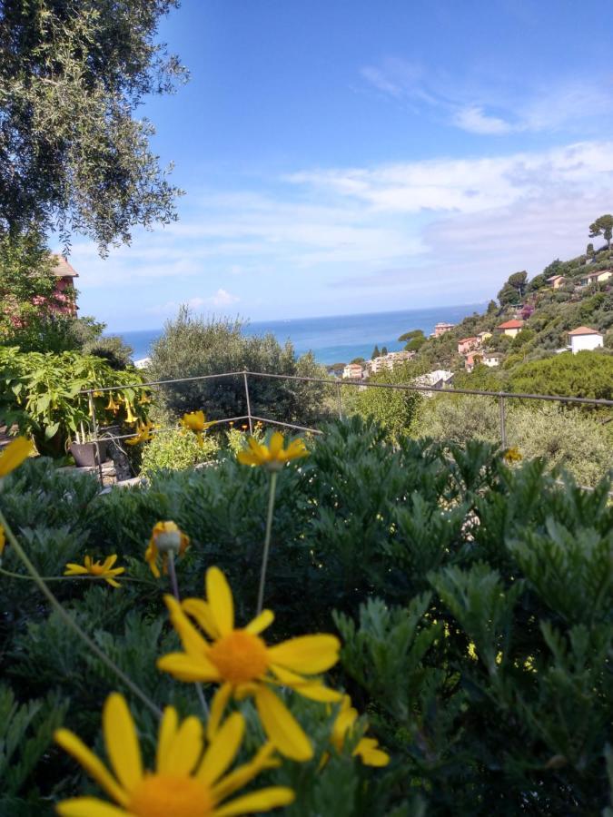 Holiday home Villino Brunetto Azienda Agrituristica