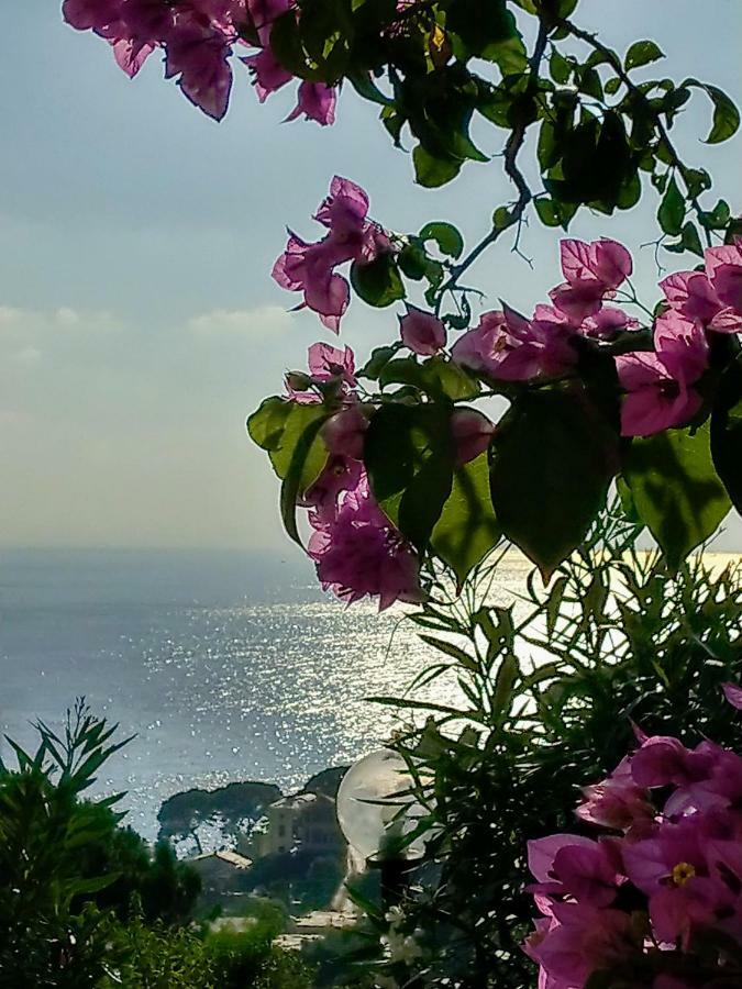 Villino Brunetto Azienda Agrituristica * Camogli