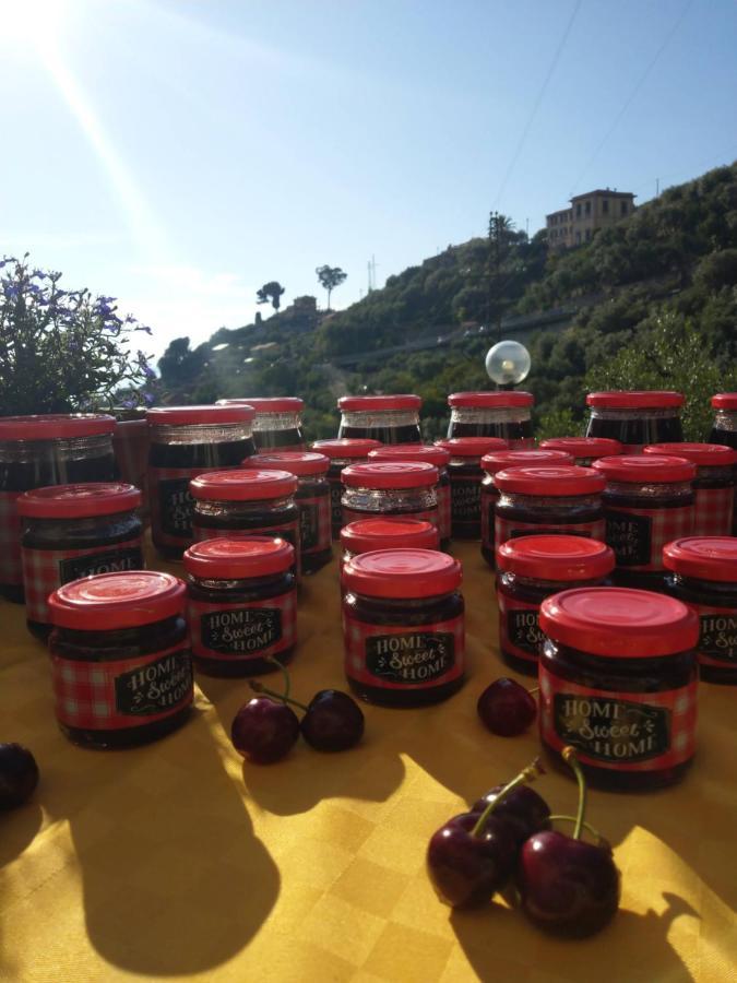 Villino Brunetto Azienda Agrituristica * Camogli